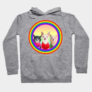 Three Chihuahuas in Polo Hoodie